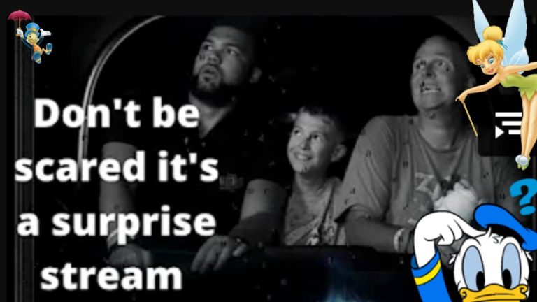 Disney Chat LIVE ~ Disney Insomniacs ~ Walt Disney World, Disneyland, Disney Parks & Resorts Chat