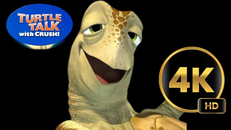 Turtle Talk With Crush 4K 60fps Full Show Attraction