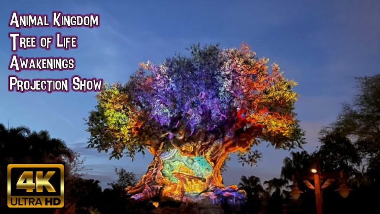 Animal Kingdom Awakenings Projection Show: Lion King | 4K POV | Tree of Life: Walt Disney World