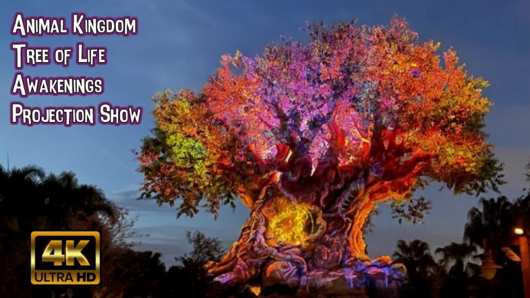 Animal Kingdom Awakenings Projection Show: Journey | 4K POV | Tree of Life: Walt Disney World