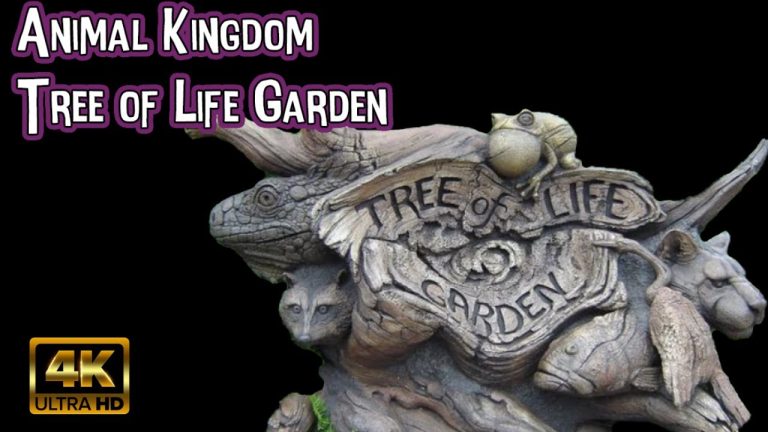 Tree of Life | 4K POV Full Show Attraction | Animal Kingdom: Walt Disney World